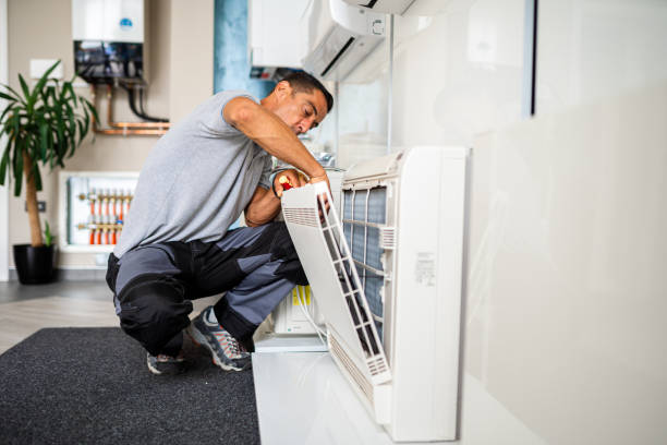 Air Duct Mold Removal in Shelbina, MO