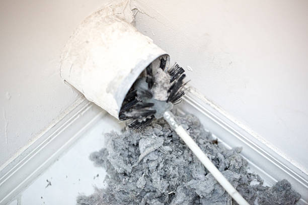 Best Affordable HVAC Duct Cleaning  in Shelbina, MO